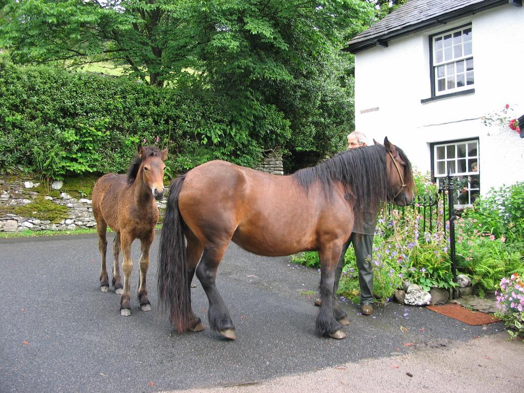 High Fold Guest House Troutbeck  Exteriör bild