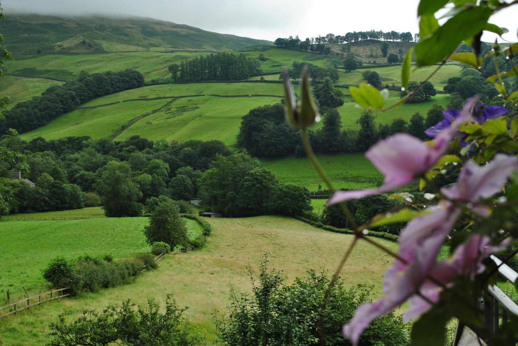 High Fold Guest House Troutbeck  Exteriör bild