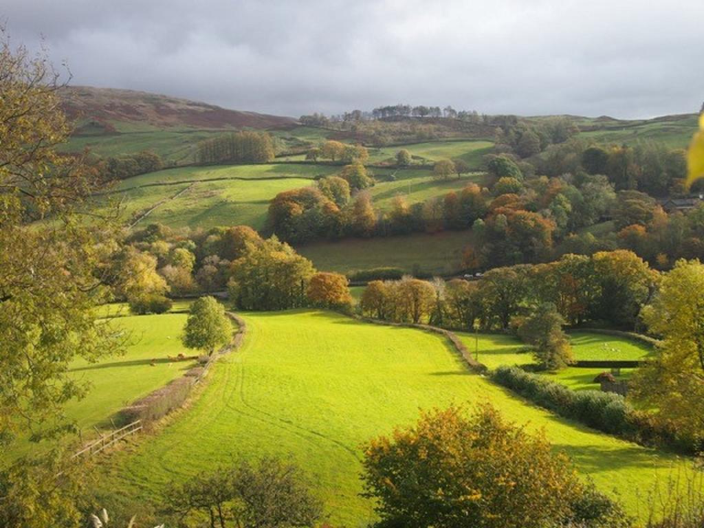 High Fold Guest House Troutbeck  Exteriör bild