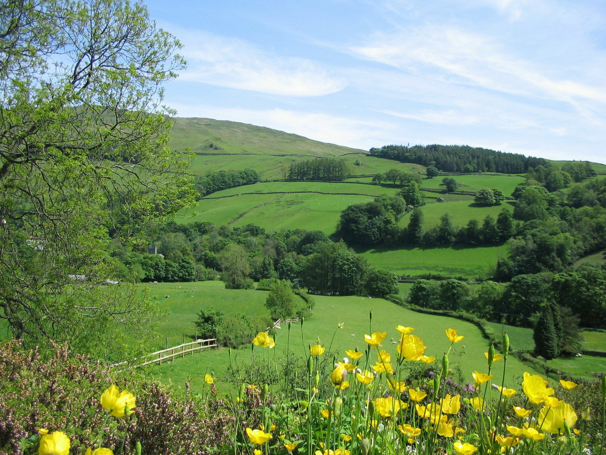 High Fold Guest House Troutbeck  Exteriör bild
