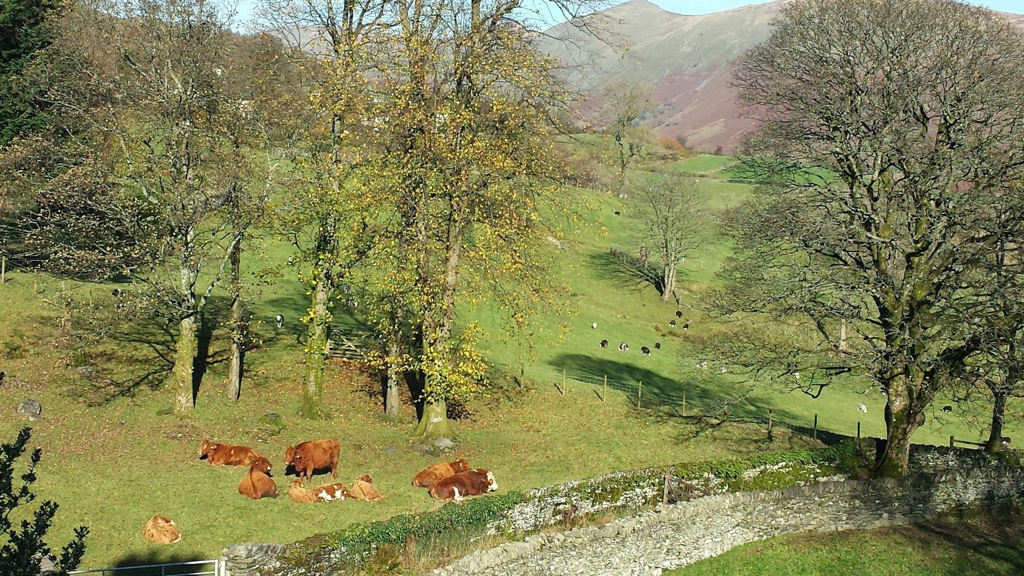 High Fold Guest House Troutbeck  Exteriör bild