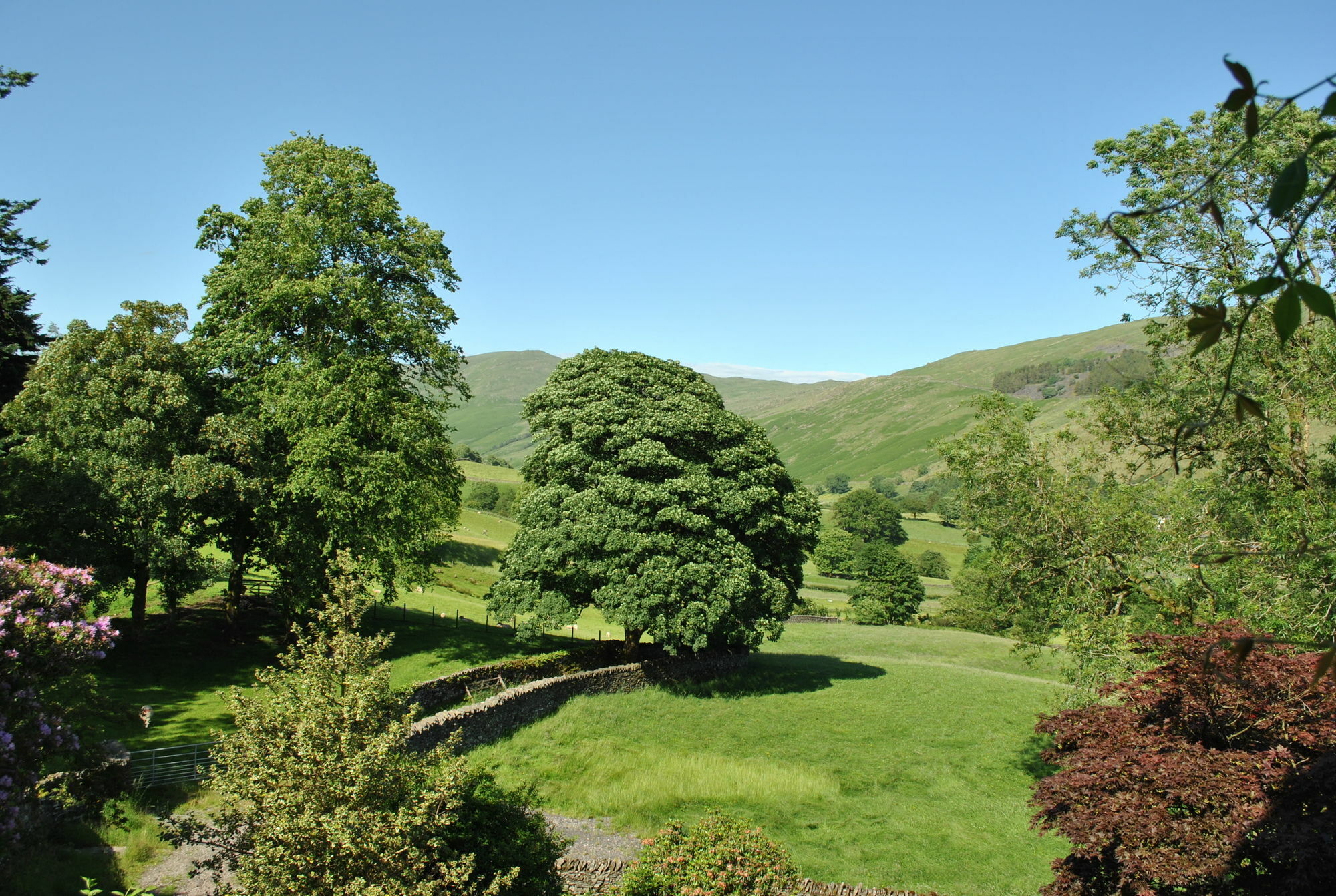 High Fold Guest House Troutbeck  Exteriör bild